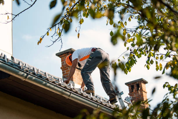 Best Roof Gutter Cleaning  in Day Valley, CA